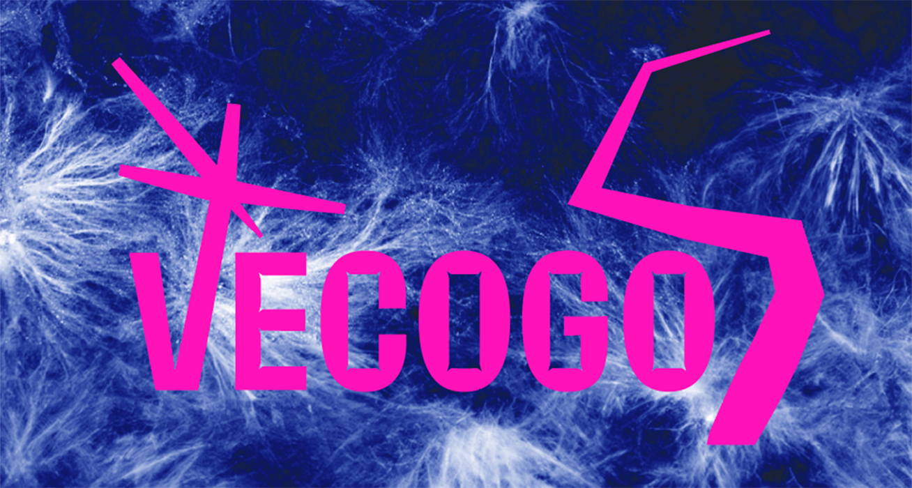 Vecogo Logo